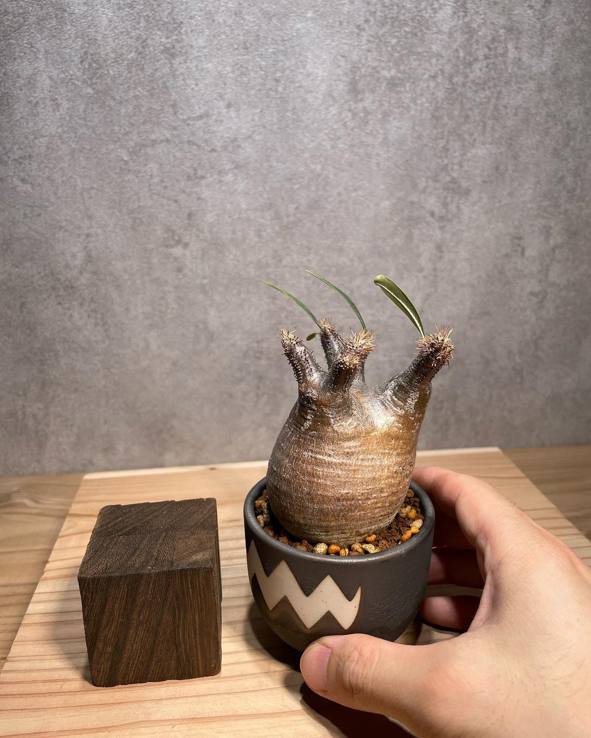 fit=scale-down,w=1200