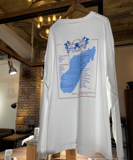【ポスト投函便送料無料】ビッグシルエット ロングスリーブ Tシャツ【PLANTS MENU ビッグシルエットT】WHITE,FROST GREY,SAND BEIGE