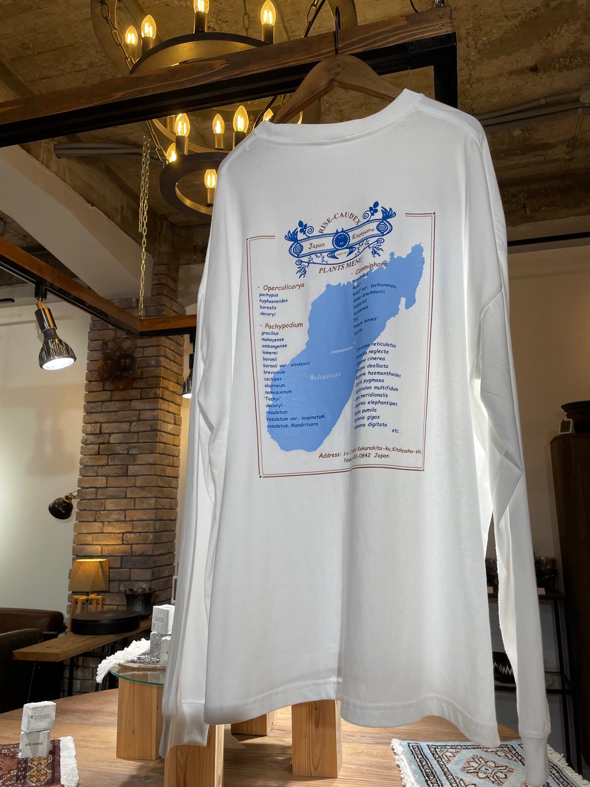 ポスト投函便送料無料】ビッグシルエット ロングスリーブ Tシャツ