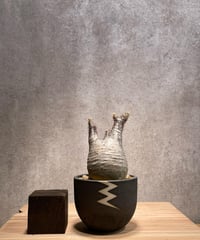 パキポディウム グラキリス　Pachypodium gracilius 　発根済　(商品番号gk-44valiem)  VALIEM 　BOWL　sizeS　(VALIEM巾着、タグ付き)