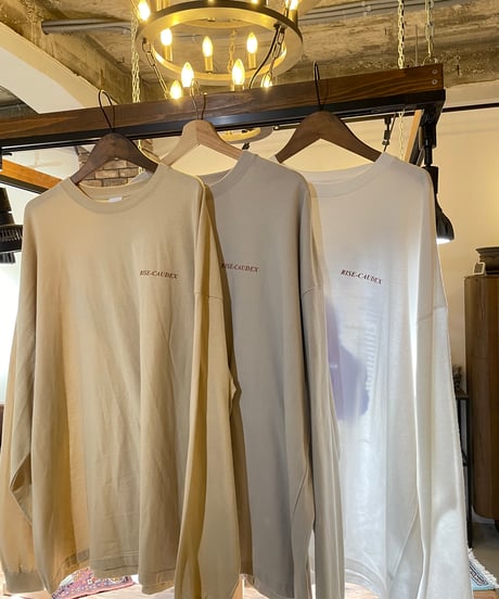 【ポスト投函便送料無料】ビッグシルエット ロングスリーブ Tシャツ【PLANTS MENU ビッグシルエットT】WHITE,FROST GREY,SAND BEIGE
