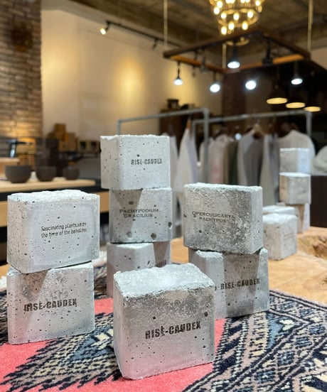 CATEGORY その他 | RISE-CAUDEX ONLINE STORE