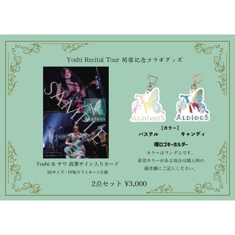 CATEGORY 小物 | aldious-shop