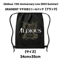 *2023年夏ツアーグッズ*ポリエステルバッグ・ブラック【2日以内発送】