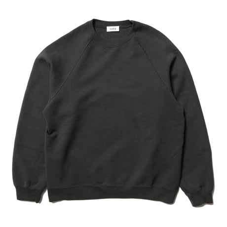 tone / HEAVY WEIGHT CREW NECK SWEAT / DARK SPRINGS