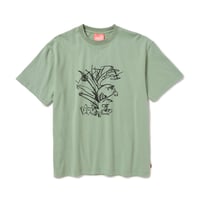 WGN / The Ant / KHAKI