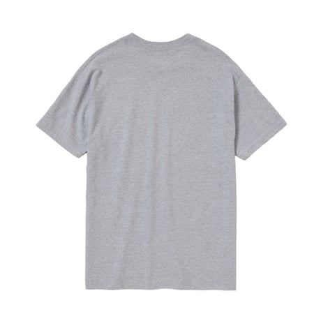 ALWAYTH / ACTUAL PROOF TEE / GRAY
