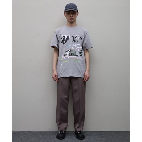 BAL / Entropy / GRAY