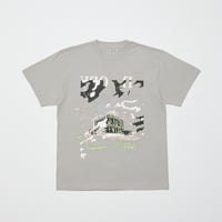 BAL / Entropy / GRAY