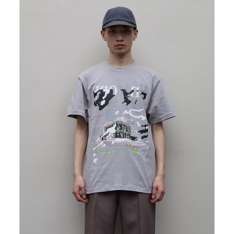 BAL / Entropy / GRAY