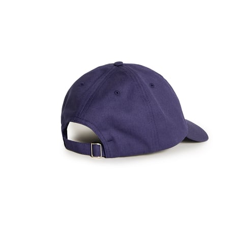 POLAR SKATE CO. / SAI CAP / COLLEGE LOGO / NAVY