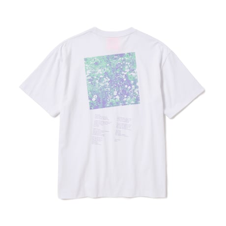WGN / Wild Flower / WHITE