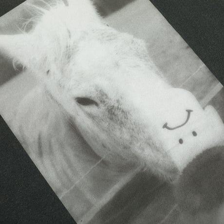 POLAR SKATE CO. / TEE / HORSE HAND / SILVER BLACK