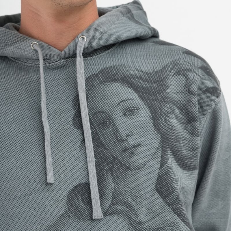 激レア】 STUSSY VENUS EMBROIDERED CREW グレー - トップス