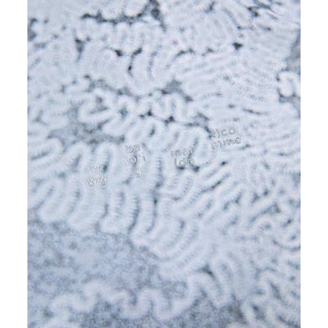 BAL / LIGHT WEIGHT WIND SHELL JACKET / BLUR