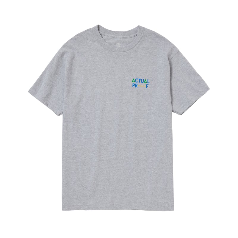 【Sale】Alwayth All Weather Proofロゴ Tシャツ ALWAYTH / ACTUAL PROOF TEE / GRAY | Sophomore