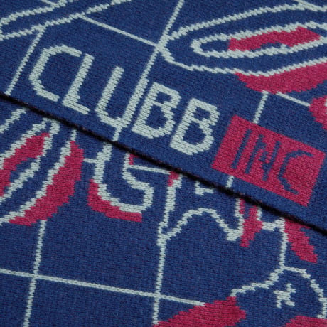 POLAR SKATE CO. / TEAM SCARF CLUBB INC / NAVY