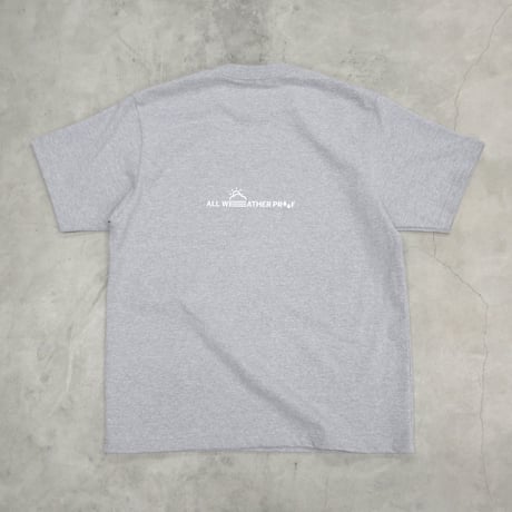 ALWAYTH / T2 / HEATHER GRAY