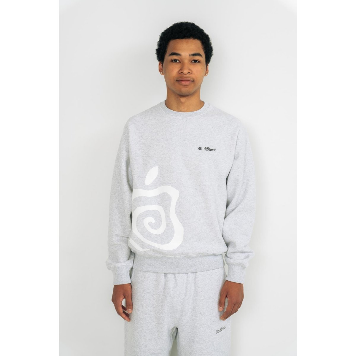 トップス sol soonerorlater Apple Tee ASH M SOL soonerorlater / APPLE SWEATSHIRTS / ASH | S
