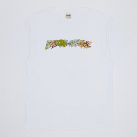 FUCKING AWESOME / GIMME SOME TRUTH STAMP LOGO TEE / WHITE