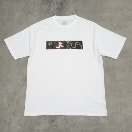 PAJA STUDIO / AERIAL TEE / WHITE