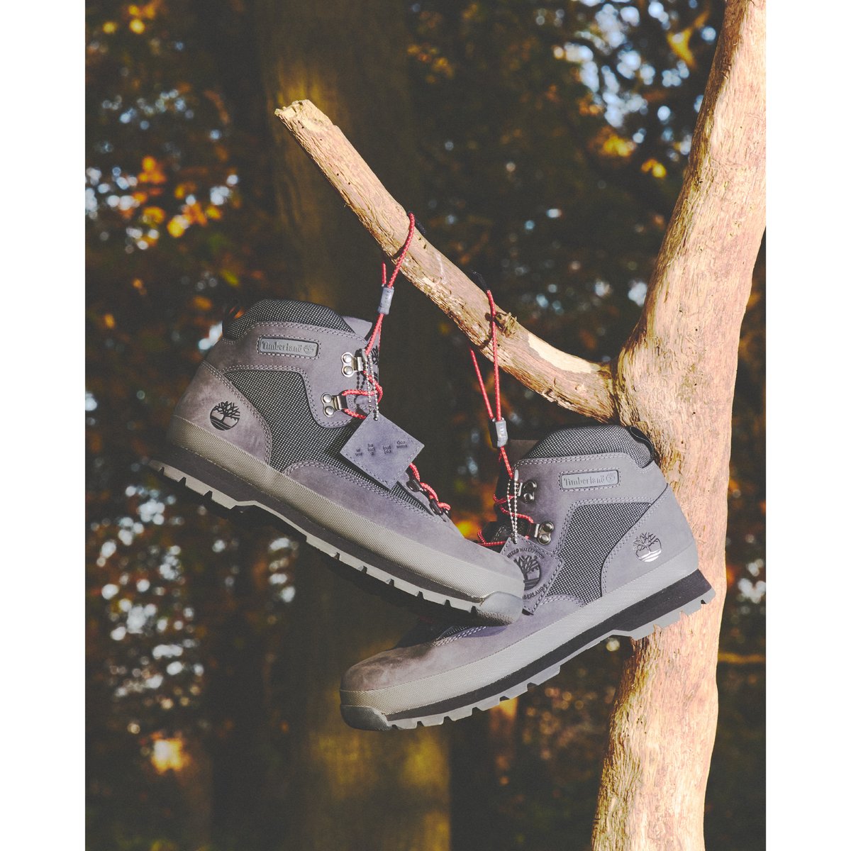 BAL / x TIMBERLAND EURO HIKER GTX / DARK GREY |