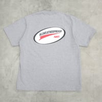 ALWAYTH / T1 / HEATHER GRAY
