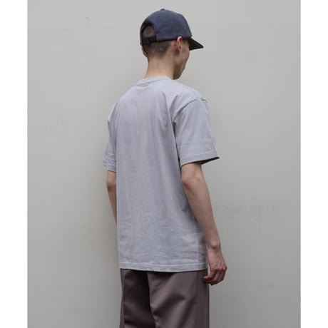 BAL / Entropy / GRAY