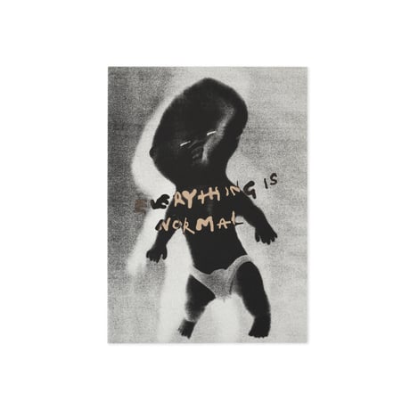 POLAR SKATE CO. / EVERYTHING IS NORMAL / ONE COLOR