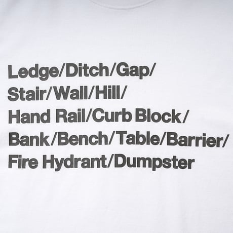 HOMBRE NINO / S/S PRINT TEE (SKATE ESSENTIALS) / SLATE BLUE