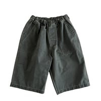 COMFORTABLE REASON / BOTANICAL WAX AGING SHORTS / RUST GREEN