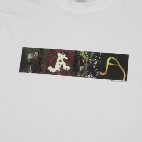 PAJA STUDIO / AERIAL TEE / WHITE