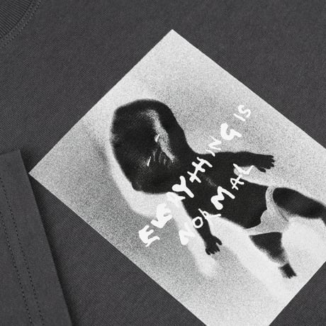 POLAR SKATE CO. / EVERYTHING IS NORMAL / GRAPHITE