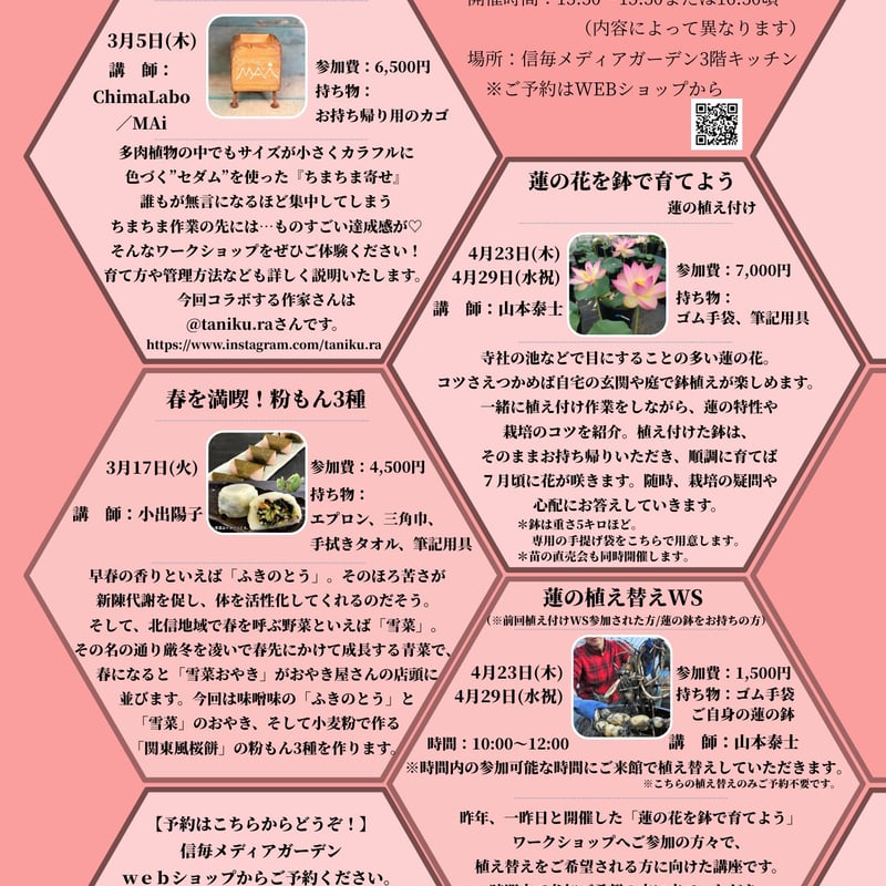 蓮の花を鉢で育てよう【2026年4月29日開催】（※別日4月23日は違う