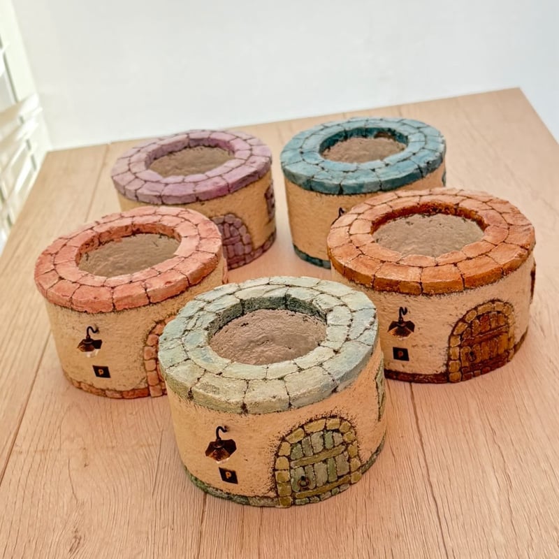 多肉植物 令和5年自宅実生2代目混合交配種子 産量多い 40円/粒 注文よろしく 多肉植物 令和5年自宅実生2代目混合交配種子 産量多い 40円/粒 注文