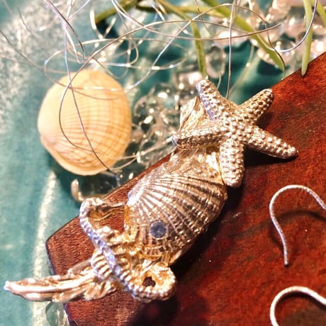 貝殻モチーフ | STORES 貝殻モチーフ | STORES