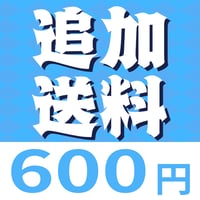 追加送料600円