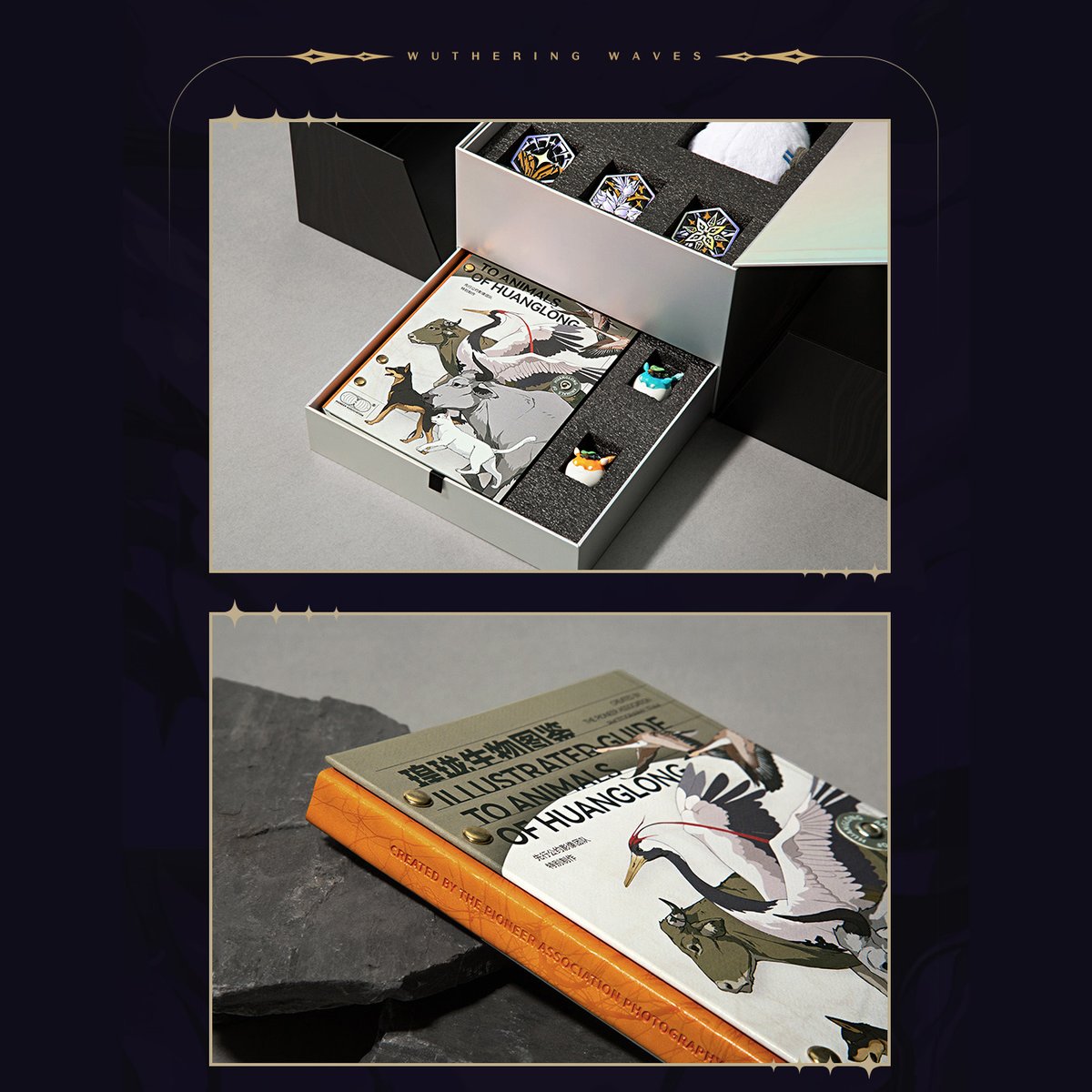 鳴潮 KURO GAMES 正式リリース限定記念BOX（予約販売） | 面白映画公式  