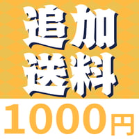 追加送料1000円