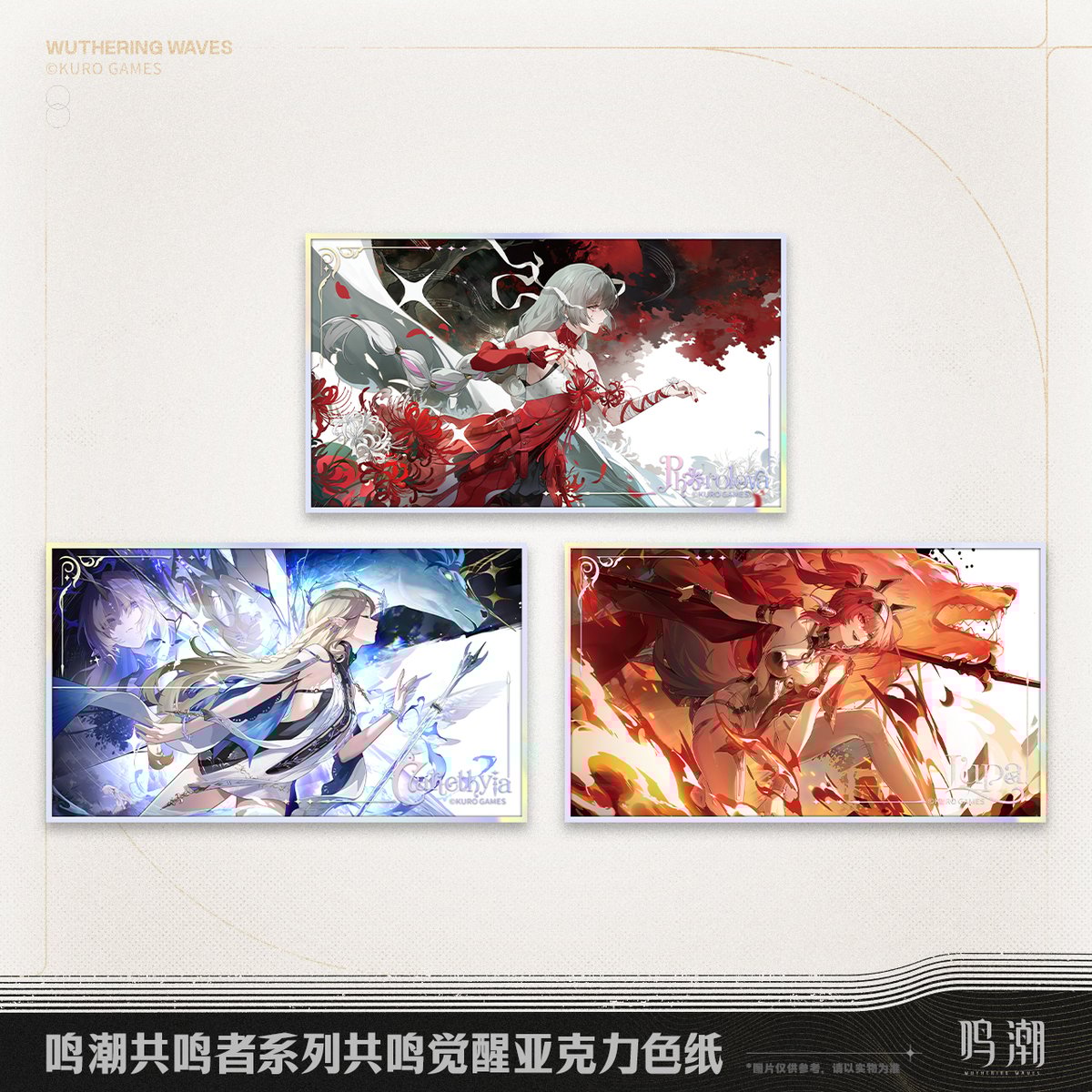 鳴潮 共鳴者シリーズ 共鳴解放アクリル色紙 Ver.2（予約販売