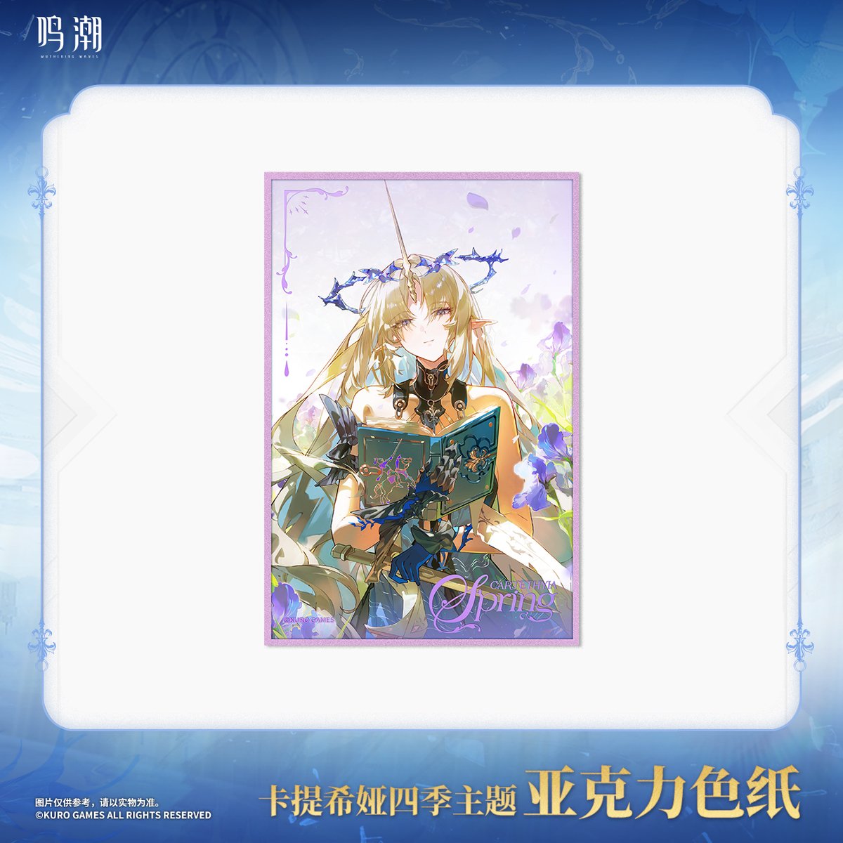 鳴潮 韓国限定 1周年 カルテジア 補償色紙　激レア fit=scale-down,w=1200