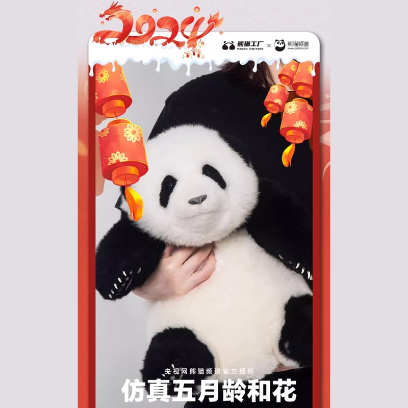 パンダ ぬいぐるみ hua-hua 和花ちゃん 楽天市場】ぬいぐるみ パンダ 和花 花花 七仔 ふわふわ パンダ
