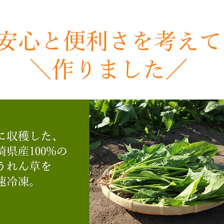 31510010　【冷凍】宮崎県産ほうれん草　250ｇ　10袋セット