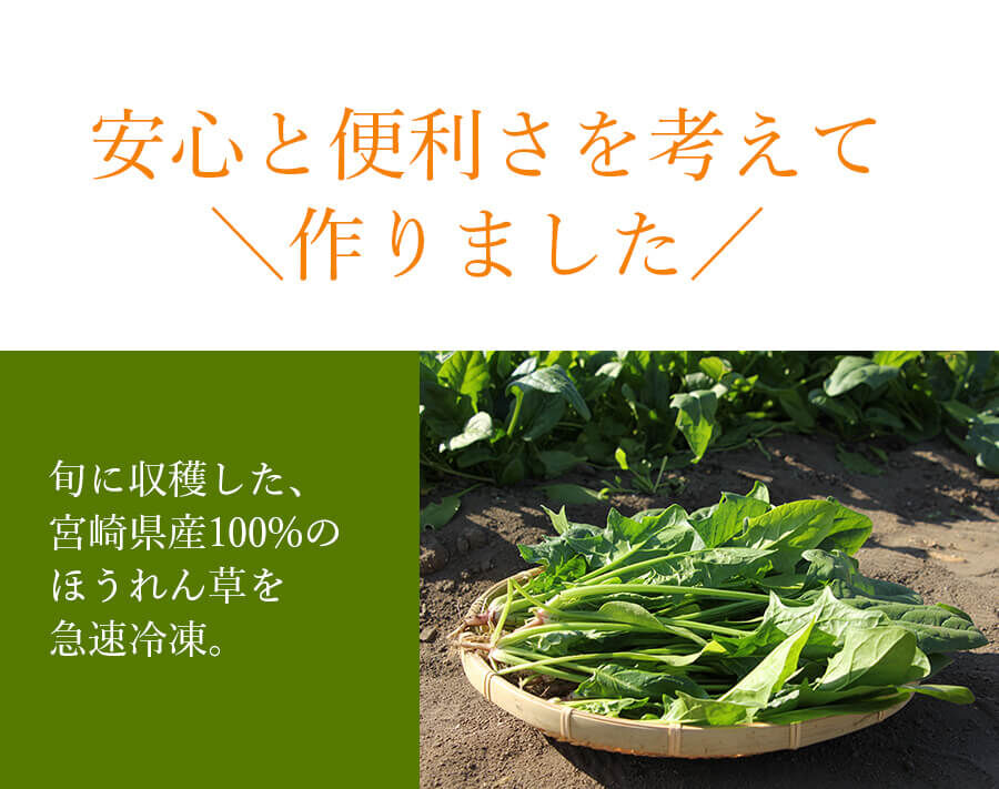 31510010 【冷凍】宮崎県産ほうれん草 250g 10袋セット | ばあちゃん