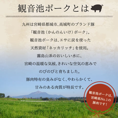 31510007　【冷凍】観音池ポークウインナーセット