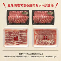 31510001　【冷凍】宮崎牛・観音池ポーク焼肉セット