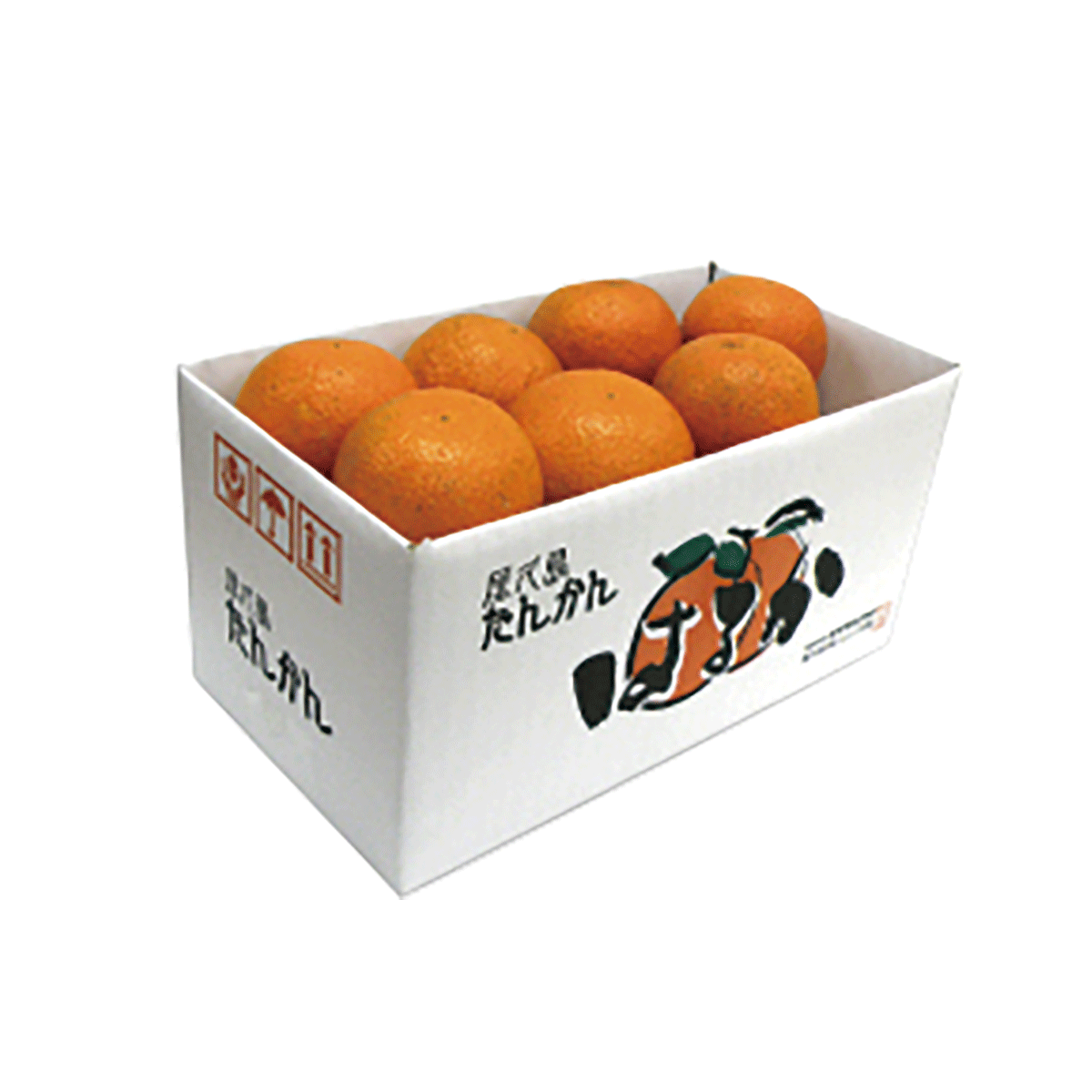 2024年産 屋久島たんかん「はるか」Lサイズ 2kg【1箱セット】 | 種子島