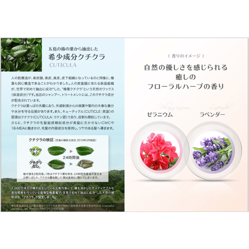 Kamirai プロテクラシャンプー&トリートメント セット | 髪to肌 Kamirai プロテクラシャンプー&トリートメント セット | 髪to肌