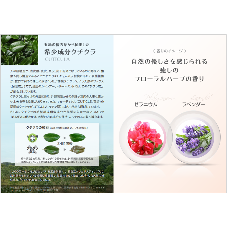Kamirai プロテクラシャンプー＆トリートメント セット | 髪to肌＝健康