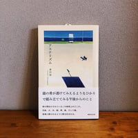 アステリズム / 金川宏